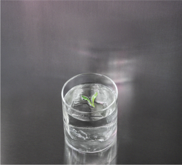 Vertical LED columns inside the dark restaurant